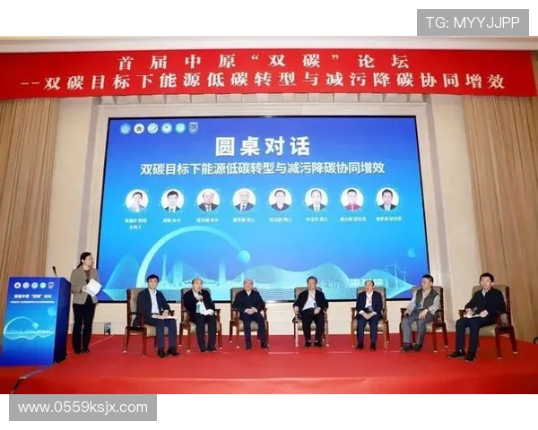 武汉乒乓球队转型之路的挑战与机遇全面解析