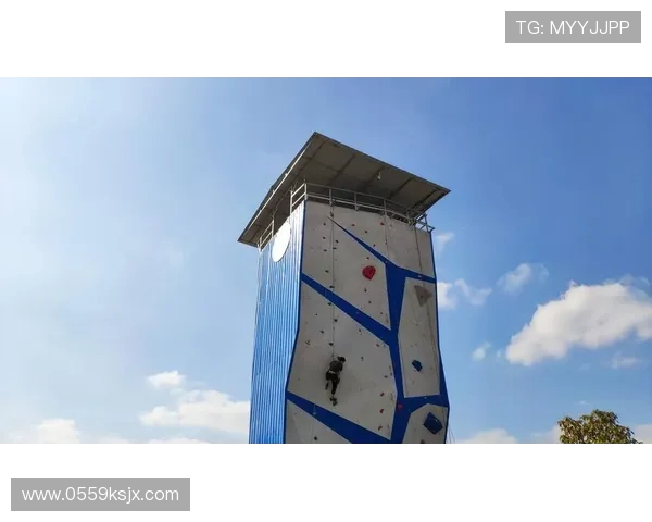 武汉攀岩队的节奏分析与反思探讨攀岩运动的得与失